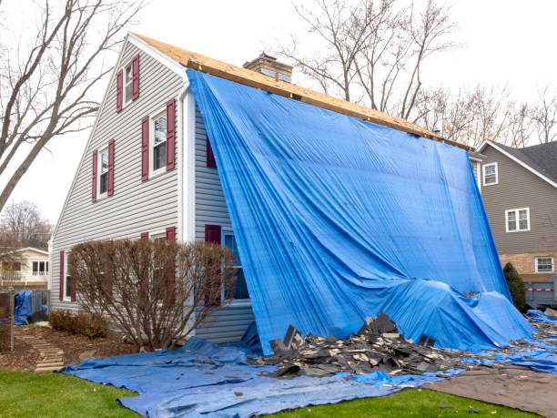 Best Fascia and Soffit Installation  in Schulenburg, TX