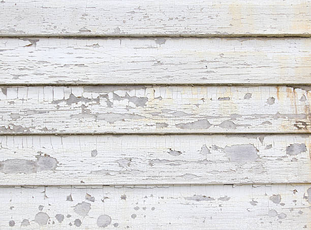 Best Siding Painting and Refinishing  in Schulenburg, TX