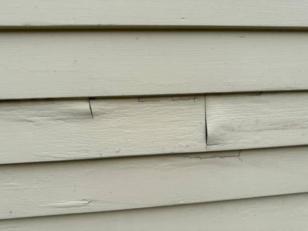 Best Vinyl Siding Installation  in Schulenburg, TX